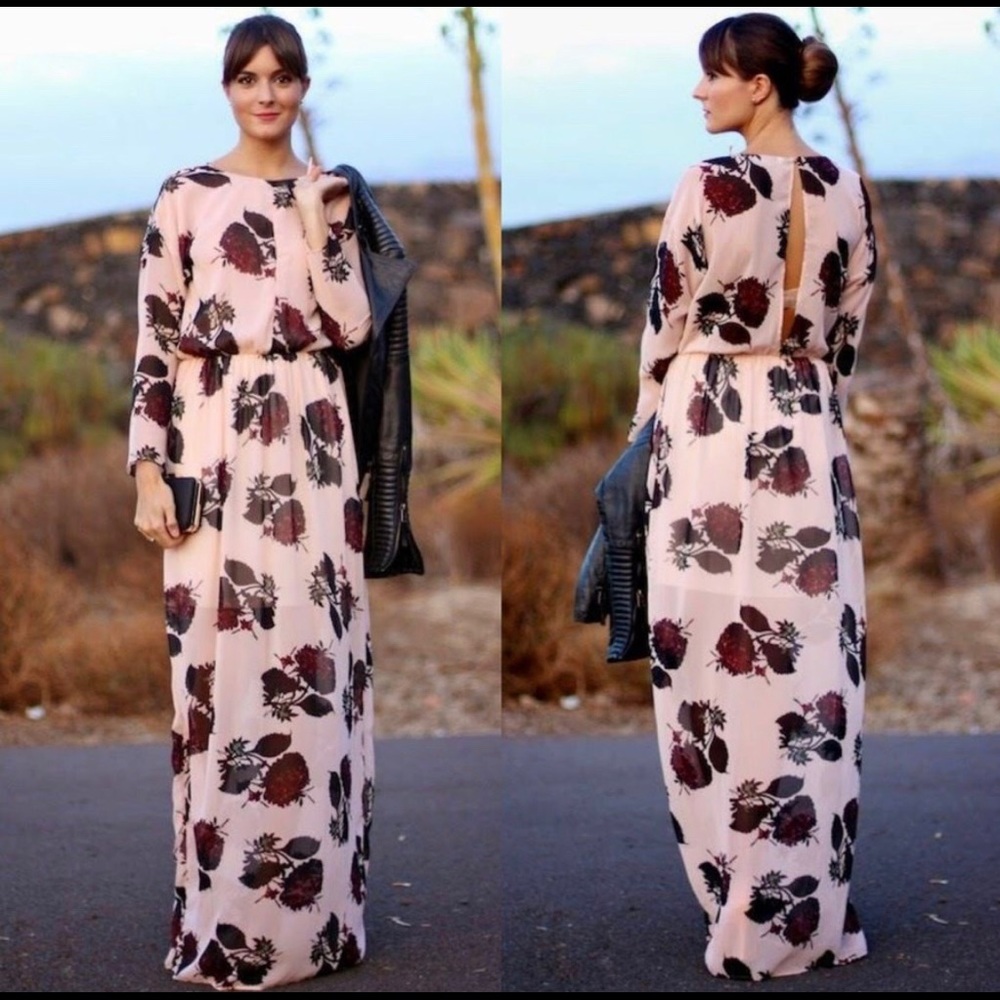 Zara long sleeve maxi chiffon dress